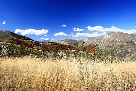 马其顿的景观蓝色森林天空场景荒野植被农村爬坡环境风景图片