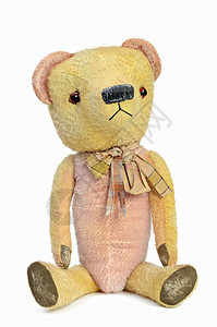 泰迪熊玩具朋友礼物动物玩具熊柔软度玩物工作室白色棕色图片
