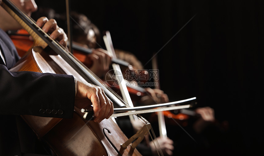 古典音乐音乐家小提琴乐队音乐会团队水平男人古典音乐交响乐乐器图片