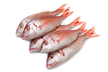 海洋烟雾皇家食物营养工作室鲻鱼膳食饮食红色市场鲷鱼图片