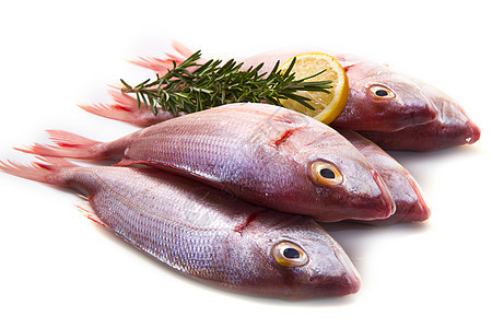 海洋烟雾市场鲻鱼迷迭香营养工作室白色皇家食物柠檬膳食图片