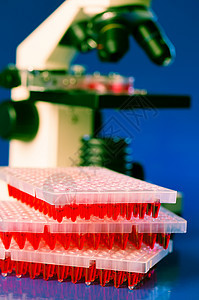 实验室桌上有96个油井板 含有红色液体样品和微缩胶片图片