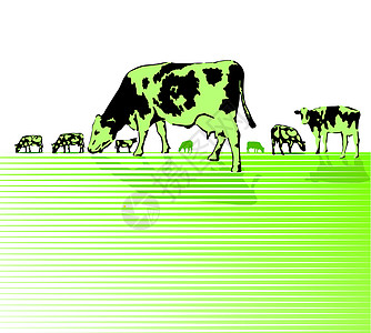 牧草上牛群林业草甸乡村动物牛奶草地绿色高山场地草皮图片
