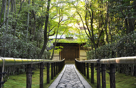 五常龙凤山通往日本京都Koto-in寺庙的道路背景