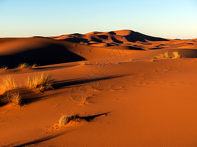 日落时的沙漠景观地形旅游橙子目的地全景地平线沙丘水平地点旅行图片