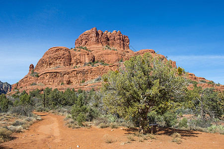 塞多纳红色悬崖岩石砂岩沙漠峡谷地质学植物编队全景图片