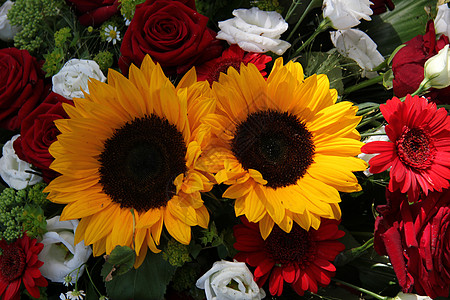 向日葵和玫瑰花瓣植物群红色植物花朵植物学花店绿色黄色花束图片