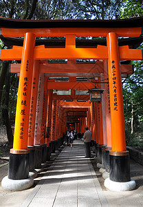 京都神社木头宗教吸引力历史神社橙子城市灯笼文化旅游图片