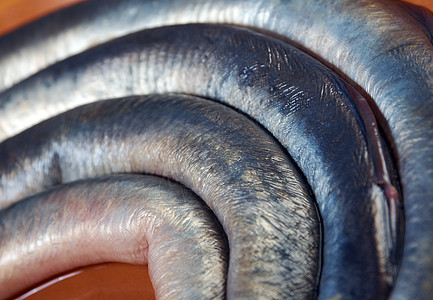 新鲜鱼灯美味石鳗食物笨蛋盘子脊椎动物七眼季节产品图片