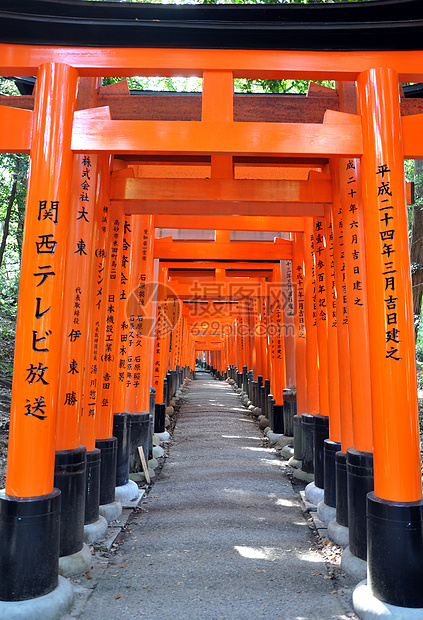 富士米伊纳里塔伊沙神社著名的明亮橙色托里门图片