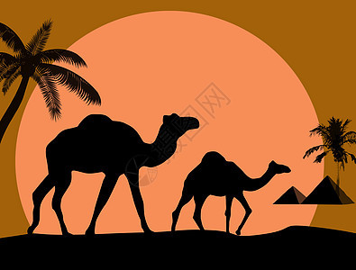 日落背景的骆驼和棕榈图片