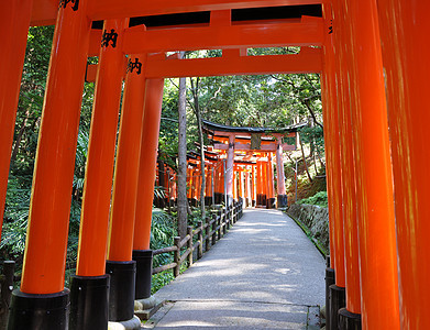 日本京都神社宗教小路文化橙子灯笼精神地标旅行吸引力旅游图片