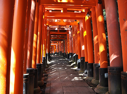 日本京都神社神道灯笼隧道小路信仰宗教地标精神寺庙入口图片