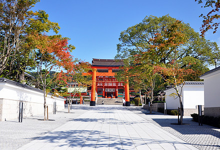 日本京都神社灯笼旅行历史宗教地标神道信仰小路神社隧道图片