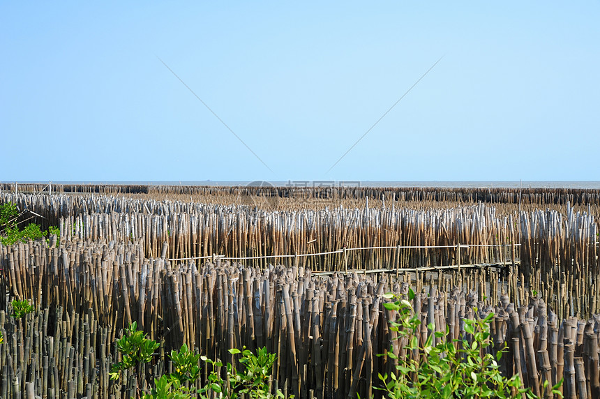 冲破波浪摄影海岸线海滩竹子建筑力量航海结构海浪图片