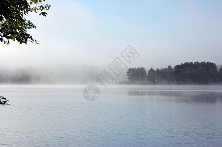 浓雾白色植物植物群蓝色镜子分支机构木头反射池塘薄雾图片