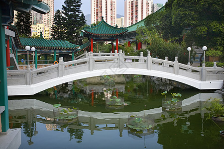 中国水园王太太 道寺九龙港 香港图片