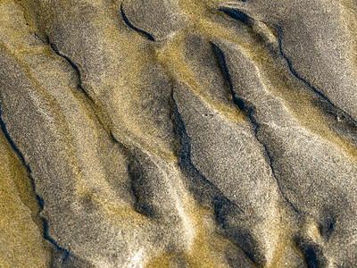 无标题液体海浪阳光海洋游泳太阳凹槽海滨棕褐色海岸图片