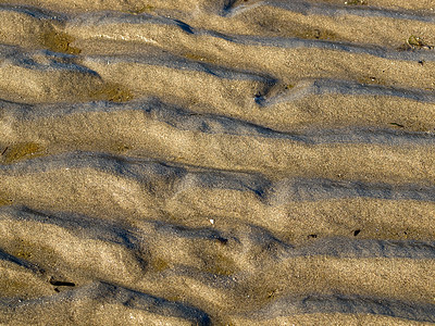 无标题海浪支撑海滨太阳凹槽晴天波纹棕褐色海洋涟漪图片