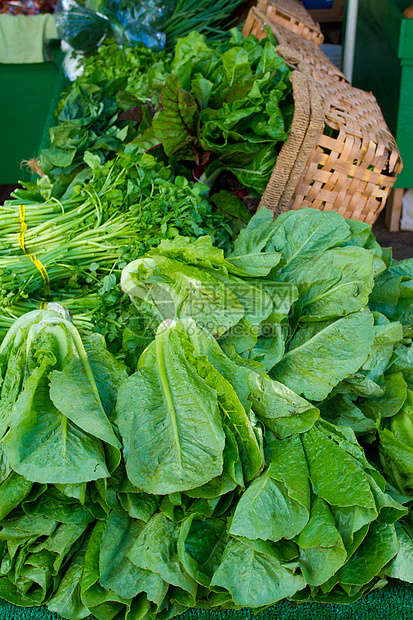 绿色生菜农民市场图片