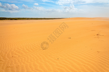 隔离的桑迪沙漠背景图片