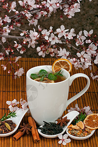 健康草药茶柠檬杯子迷迭香红茶肉桂薄荷小豆蔻干柑竹子八角图片