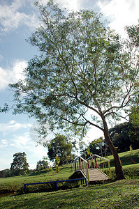 有池塘和桥梁的花园土地阳光蓝色场景闲暇晴天长椅公园环境城市图片