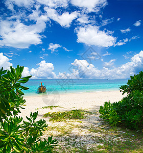 海 海蓝色海岸热带阳光假期海洋晴天旅行放松天堂图片