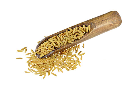 白地上孤立的稻谷营养黄色栽培稻田种子收成粮食水稻培育植物背景图片
