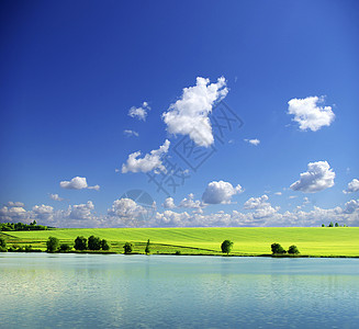 风景场地农场乡村牧场土地植物天气草地季节绿色图片