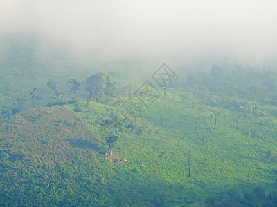 泰国清莱山见山山山 Chaeng山路线旅行假期小路驾驶墙纸运输宝塔山景蓝色图片