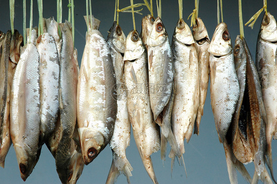 干燥过程中挂在了牛奶鱼身上烹饪盐渍营养熏制动物商业产品美食渔夫太阳图片