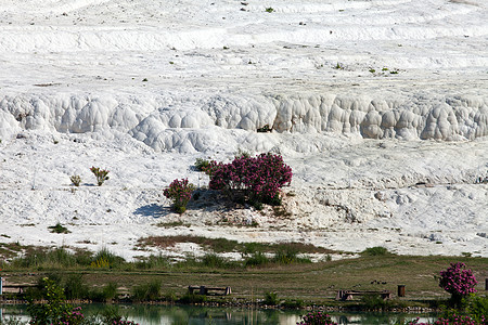 土耳其帕穆卡勒的特雷弗丁池和梯田青色水池地标盆地地质学石灰石瀑布岩石碳酸盐温泉图片