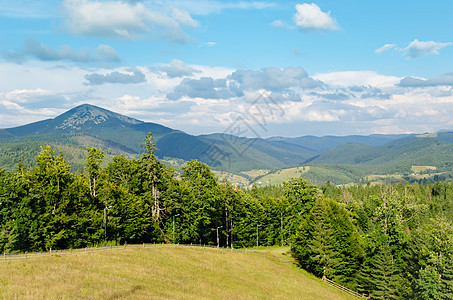 绿色山区景观山腰高地旅行假期草地旅游森林松树天线天堂图片