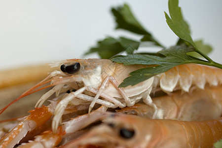 斯坎皮拼盘市场美食烹饪食物用餐龙虾动物奢华菜单图片