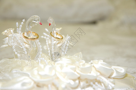 结婚日期珠宝订婚浪漫仪式夫妻花束纪念日玫瑰丝绸戒指图片