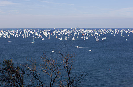 2010年巴科拉纳帆船复数天空蟒蛇优胜者分支机构微风战略蓝色海浪图片