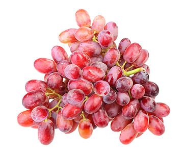 新鲜红葡萄分枝图片