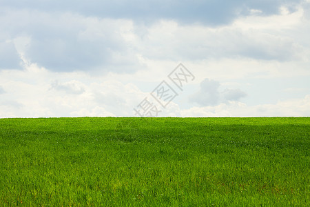 蓝色天空背景的绿地绿色家具植物车道草地自由场景手指水平长椅公园图片