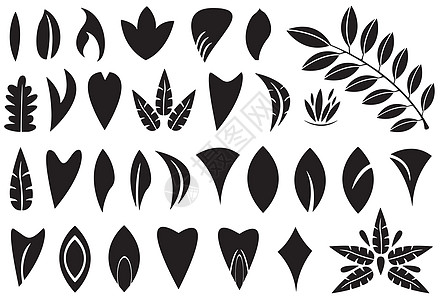木艺叶形形状创造力叶子植物绿色植物学纺织品墙纸插图绘画装饰品插画