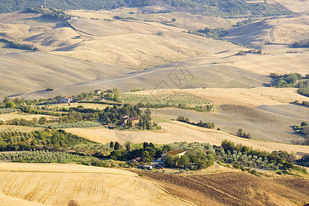 对意大利夏季托斯卡尼典型风景的看法场景金子农村植物国家环境全景爬坡草地农场图片