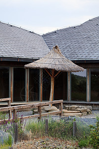 夏威夷小屋住宅文化热带茅草花园石头贮存植物气候岛屿图片