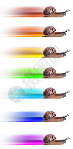 概念 快速蜗牛与彩色的轮廓团队短跑跑步动机竞赛行动车道运动竞争对手速度图片