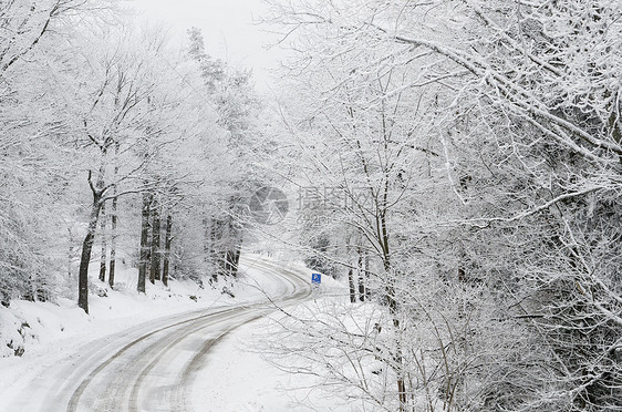 白雪路白色森林图片