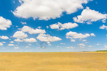 自然景观 蓝色的天空和云彩草地太阳日出植物远景天气日落草原场景季节图片