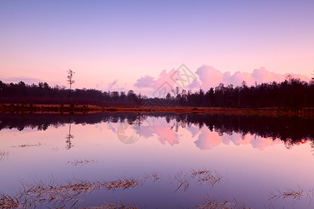 湖上平静的日落太阳风景戏剧性天空日出反射农村粉色荒野森林图片