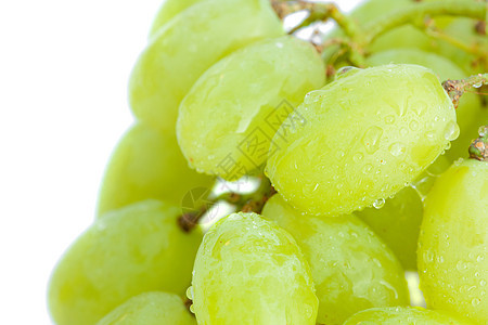 白的葡萄 其中含水滴 白的被隔绝;图片