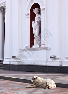 赫米斯雕像 敖德萨历史动物楼梯市议码头雕塑城市宫殿寺庙建筑学图片