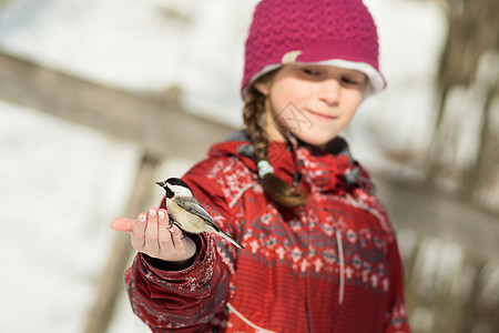 女孩喂鸟女性生活青年季节动物种子孩子图片