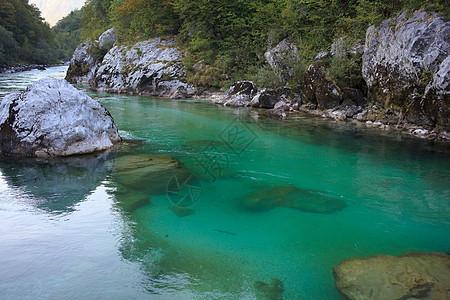 斯洛文尼亚索卡河旅游爬坡森林绿色石头荒野山脉河水河岸树木图片